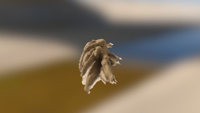 Soggoth dead 3D Model