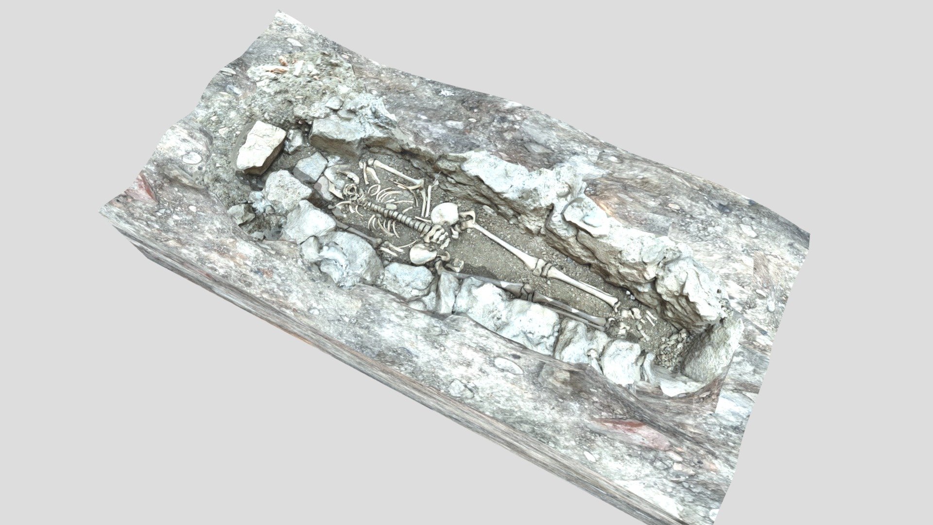 Sépulture 13 Musée archéologie SaintLaurent Download Free 3D model