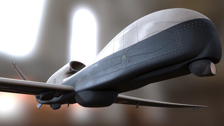 MQ-4C Triton UAV 3D Model