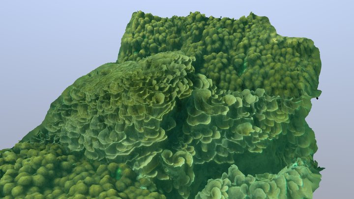 Archive 3D Model