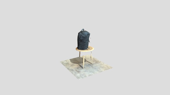 Bag Reality Scan 3D Model