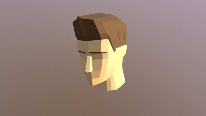 Low Poly Head with Hair [Free Download] 3D Model