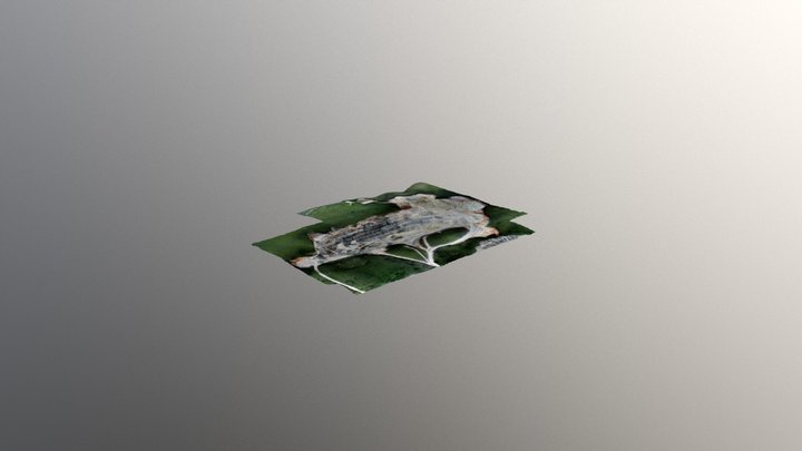 Cantera 3 - Domicen 2018 3D Model