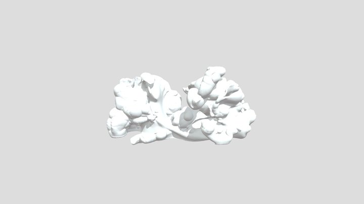 Flowers1-mutated 3D Model