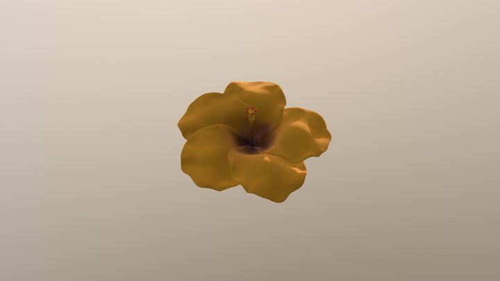 Yellow Hibiscus 3D Model