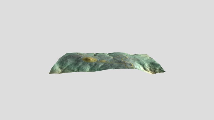 A N A R P F A 3D Model
