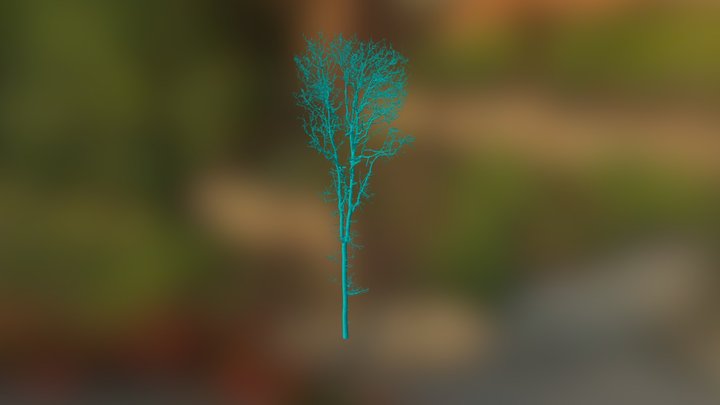 Straits / Oak 7 3D Model