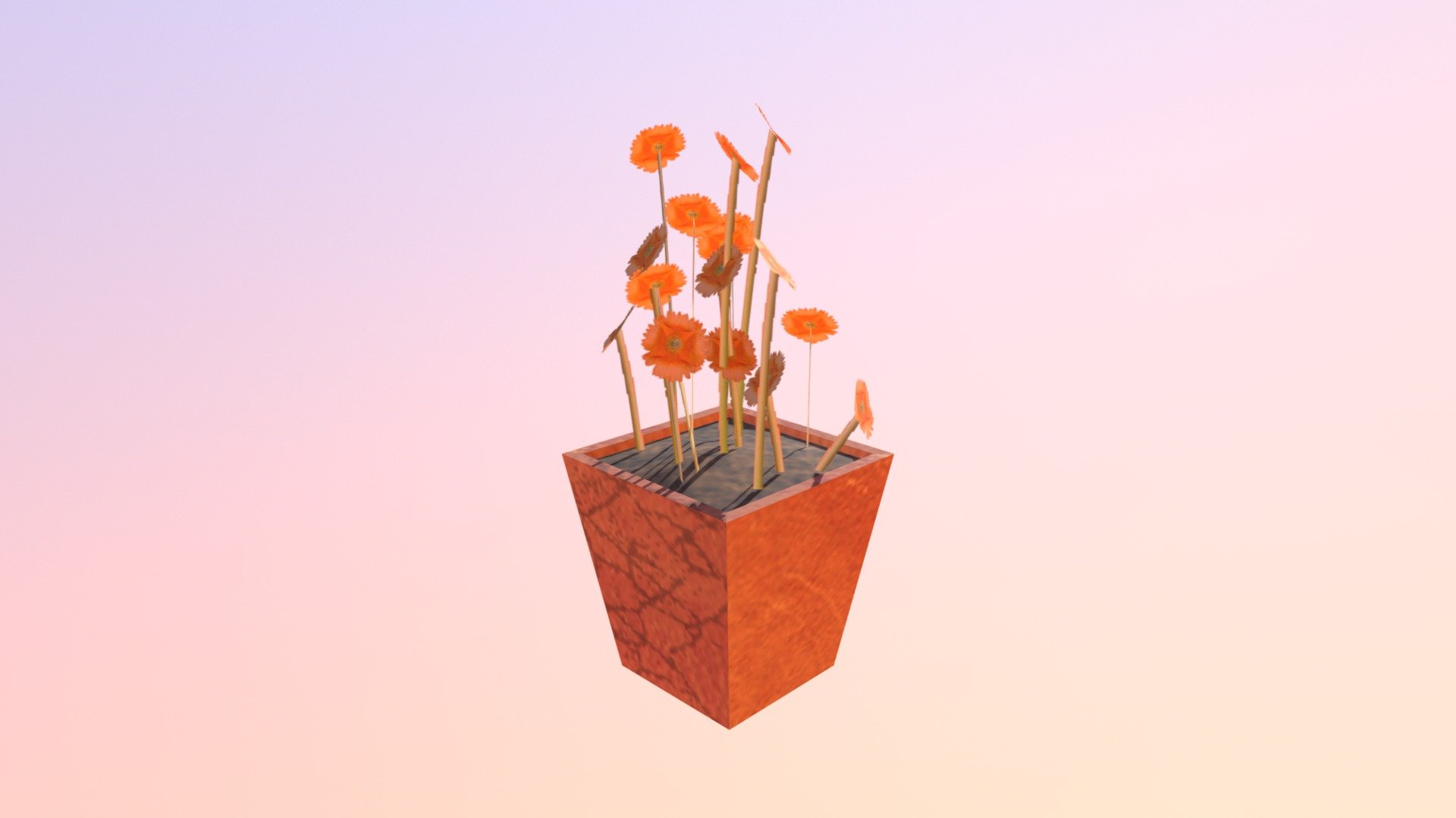 Flowers 3