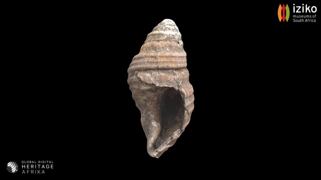 Shell