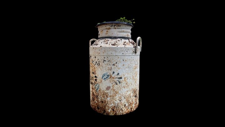 old painted milkmaid, with plants on top 3D Model