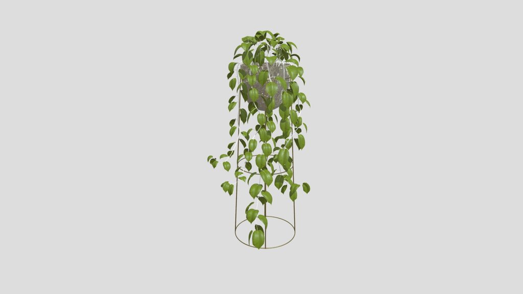 Hanging Plant