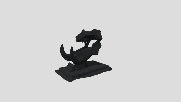 Hippopotamus Antiquus 3D Model
