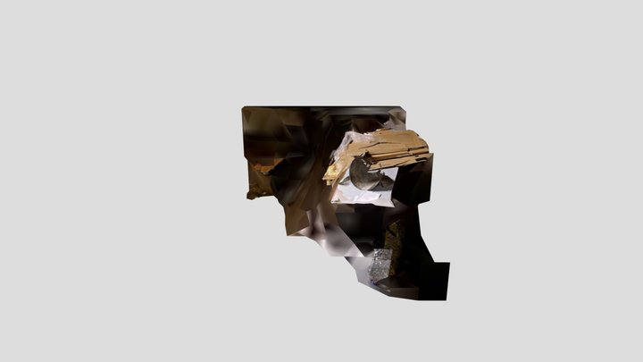 Cednik 3D Model