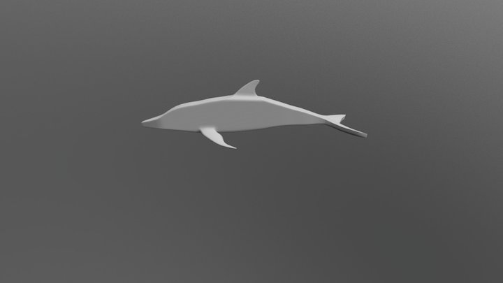 Dolphin 3D Model