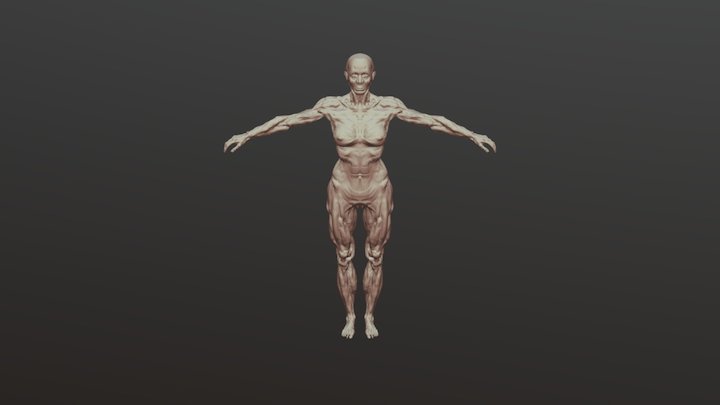 Woman 3D Model