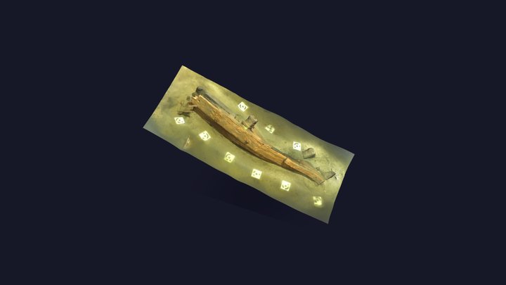 Wreck OD1A Russian double shaloupe 1737 3D Model