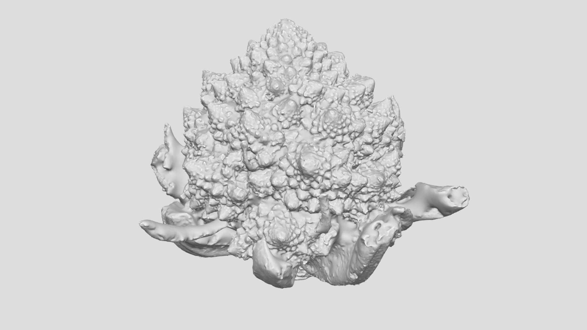 Romanesco