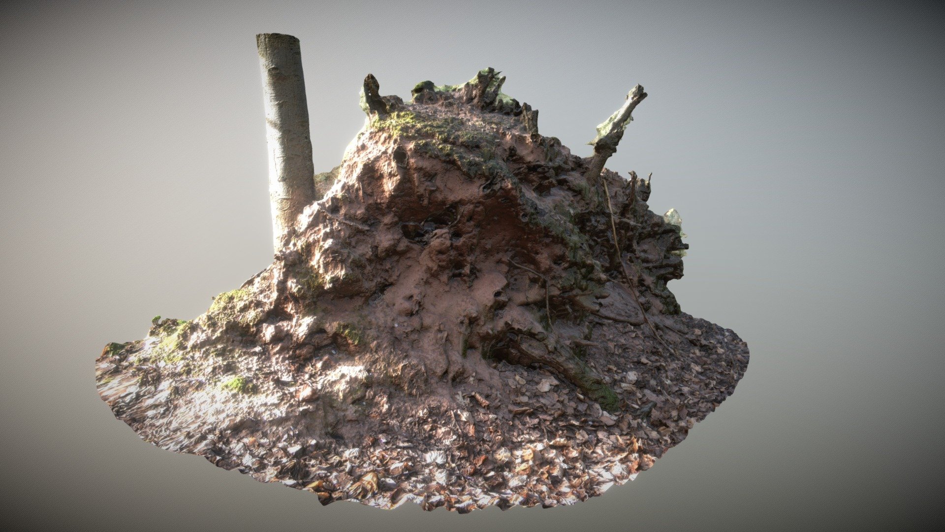 Earh Pile 01 Meshroom Download Free 3D model by linkxk64 [e2cd064] Sketchfab