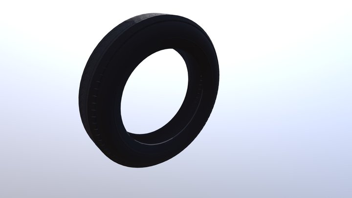 Tire (pneu) 3D Model