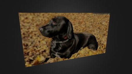 2D-to-3D Pet Pix 3D Model