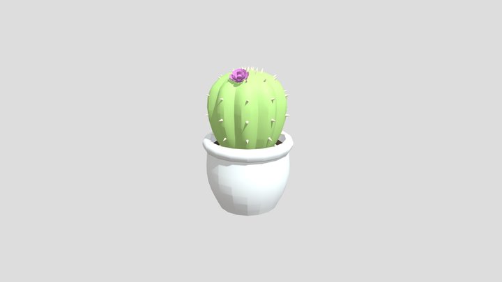 everybody's sad cactus 3D Model