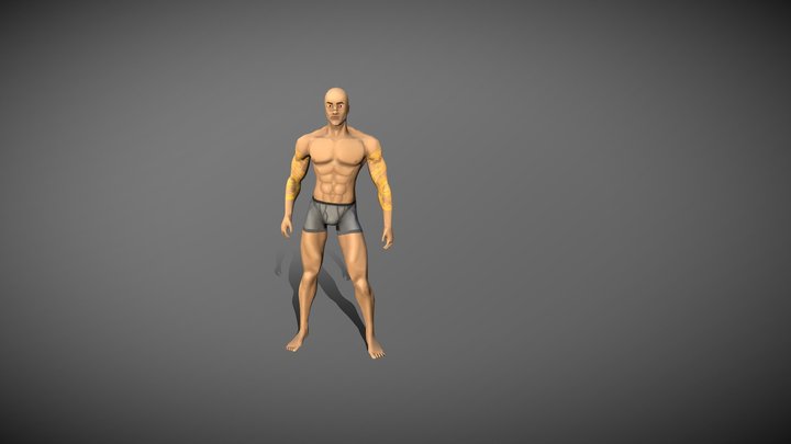 Sett Model 3D Model