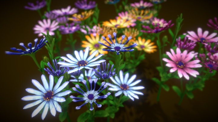 Flower Whirligig Daisies 3D Model