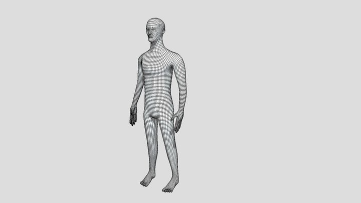 wireframe model 3D Model