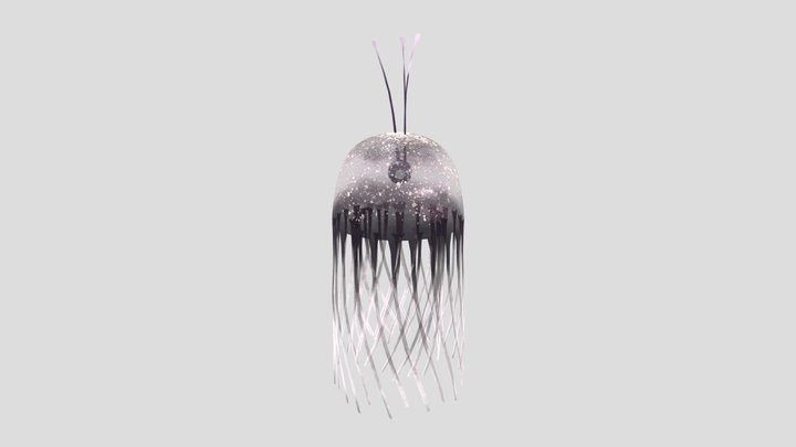 Jellyfish 2.0 3D Model