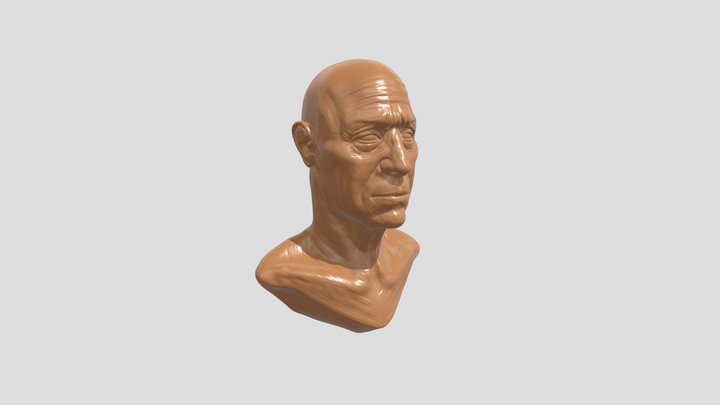 My Sketchfab Mesh 3D Model