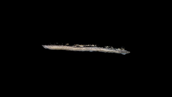 Indiana Avenue Site - South Trench - South Wall 3D Model