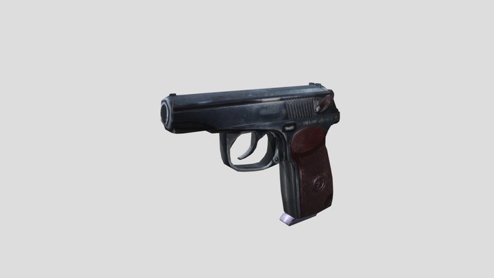 PM 3D Model