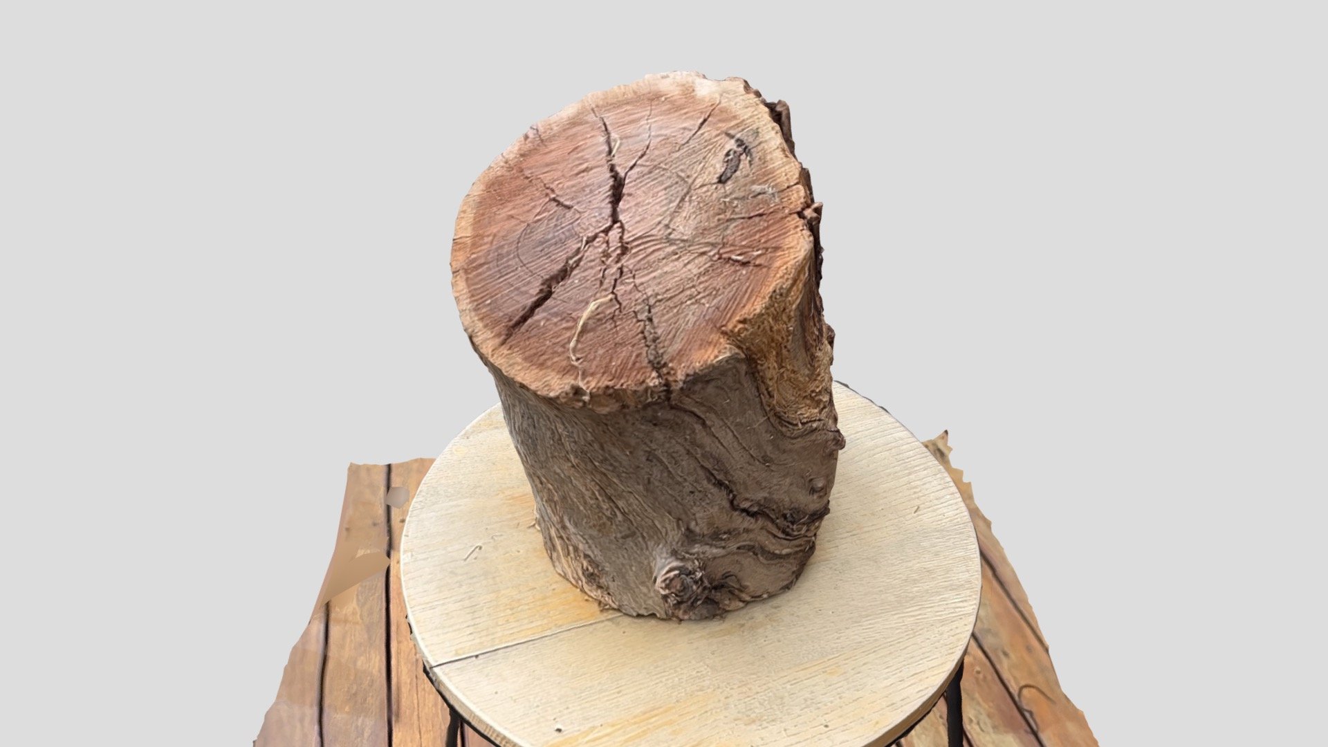 LOG reality scan