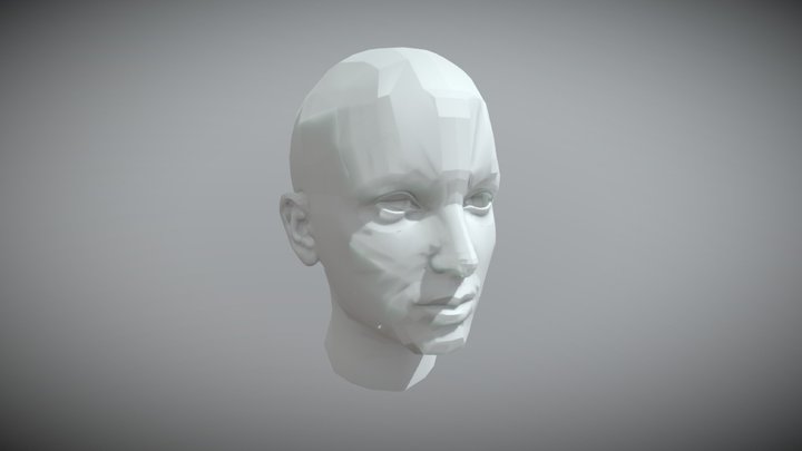 unit5_head retopo 3D Model