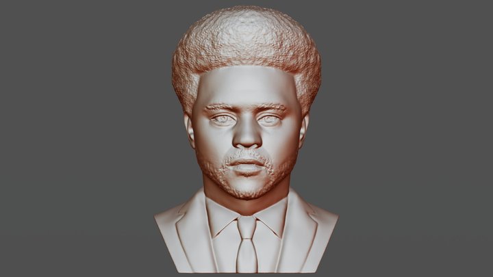 The Weeknd bust for 3D printing 3D Model