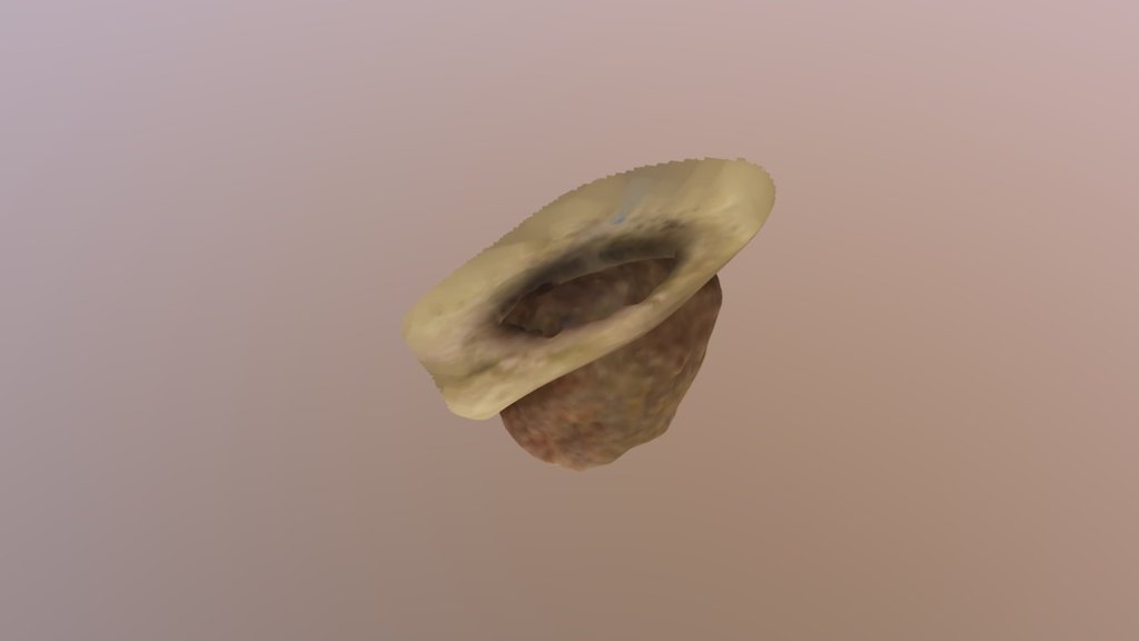 scanned rock