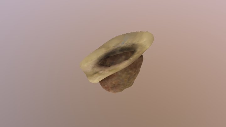 scanned rock 3D Model