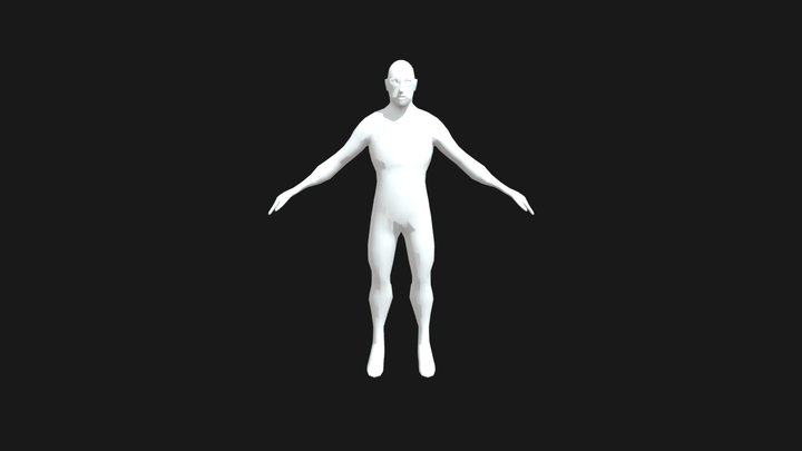 Body Mesh 3D Model