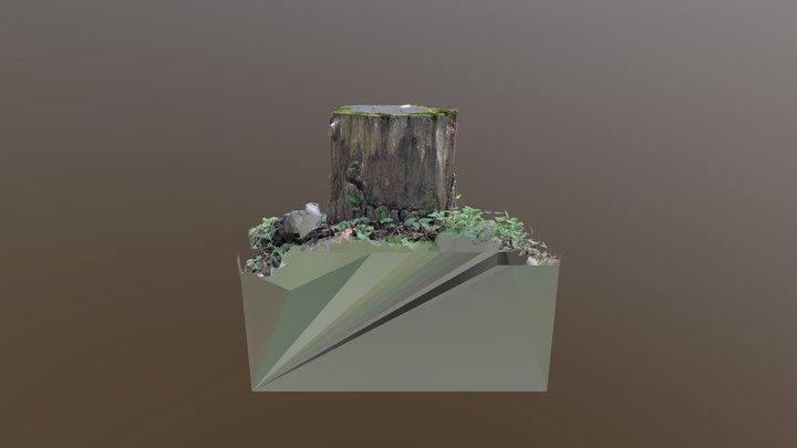 [RealityScan] Tree Stump 3D Model