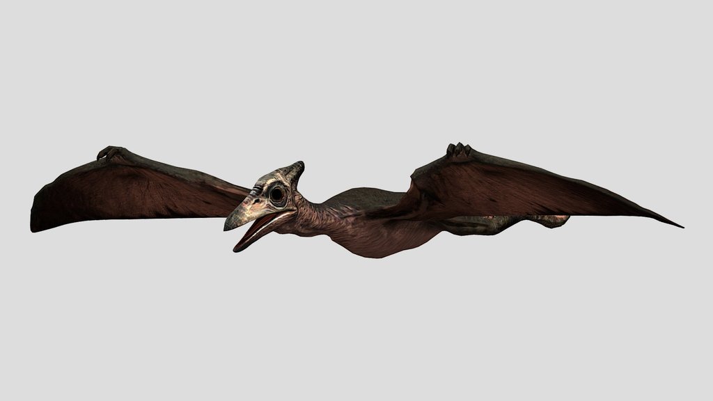 DracoWarrior's Baby Pteranodon