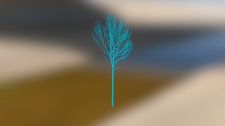 Straits / Oak 1 3D Model