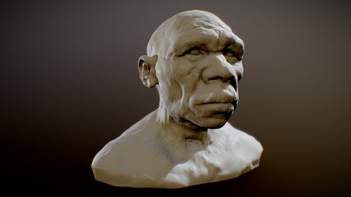 Neardental bust | print model 3D Model