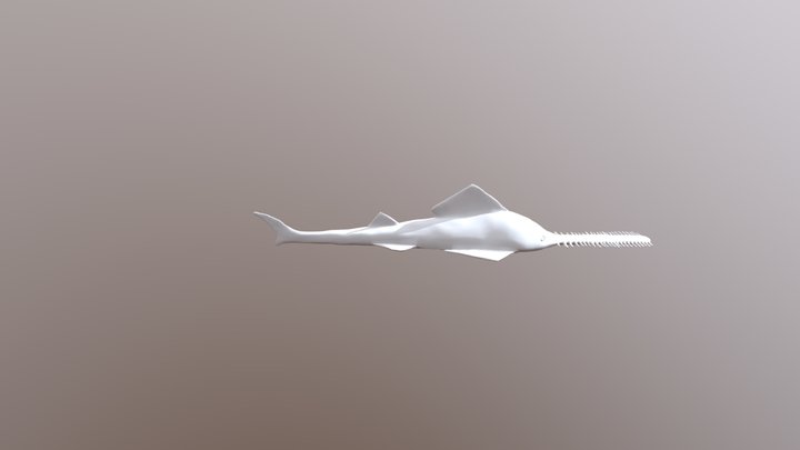 Sawfish 3D Model