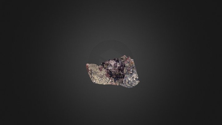 Gooseneck Barnacles: Patch 1 3D Model