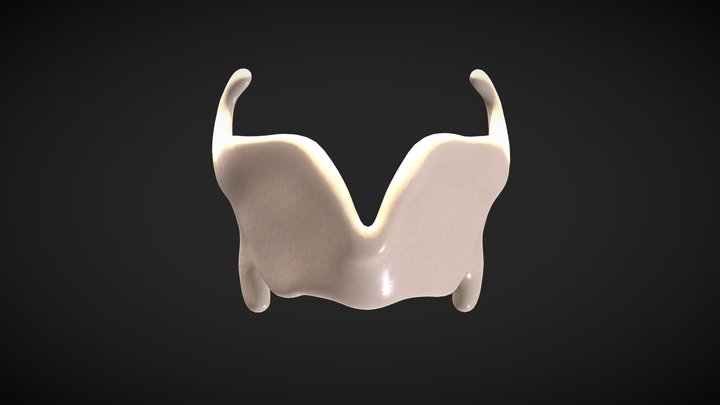 Thyroid 3d Models Sketchfab 