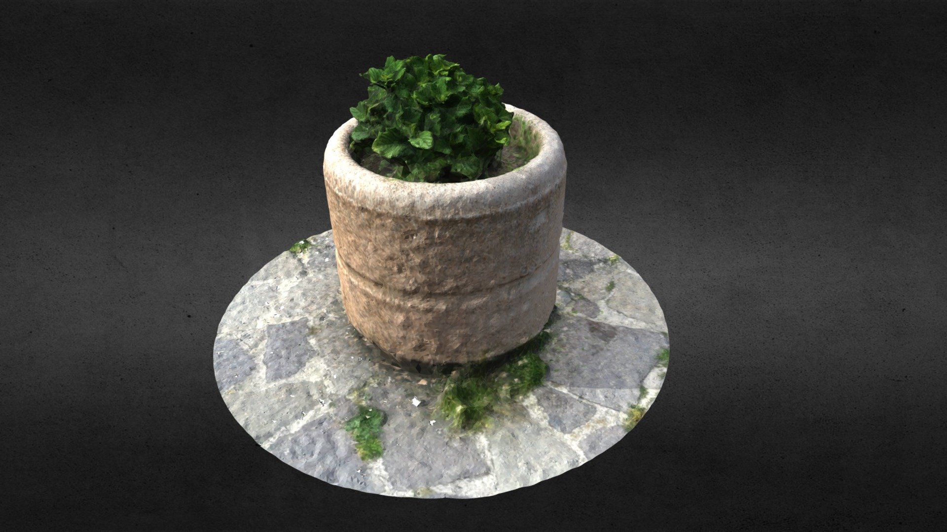 Flower Holder