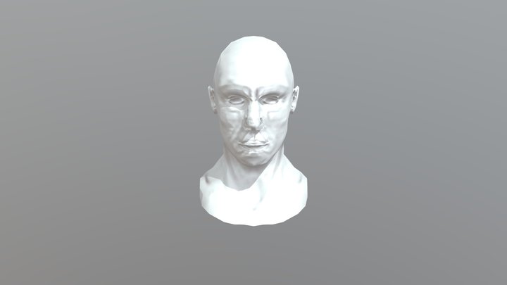Busto Retopo 3D Model