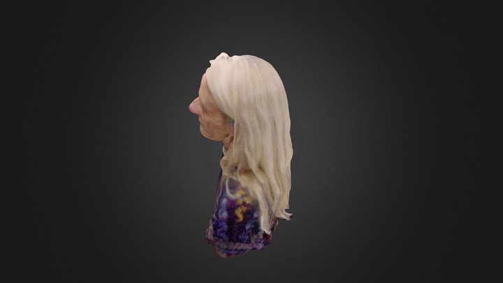 Slavisa scan from Skanect 3D Model