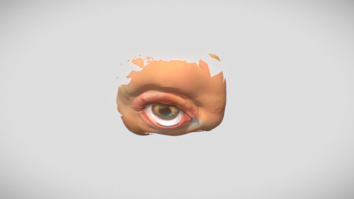 eyes 3D Model