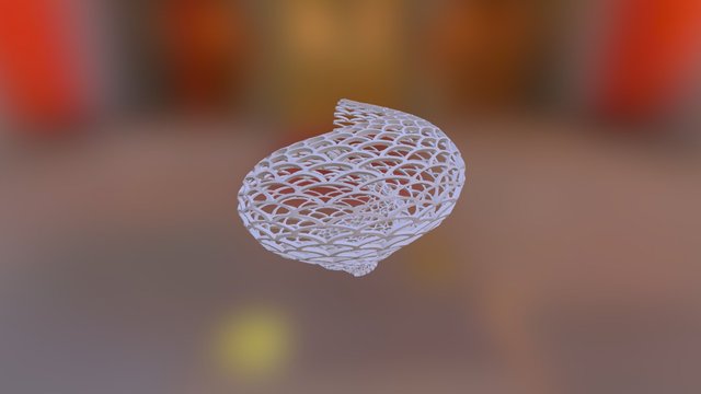 Conchiglia 3D Model